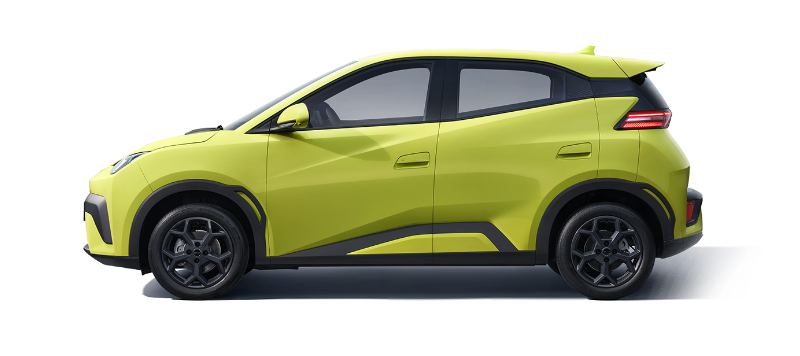 BYD DOLPHIN SURF